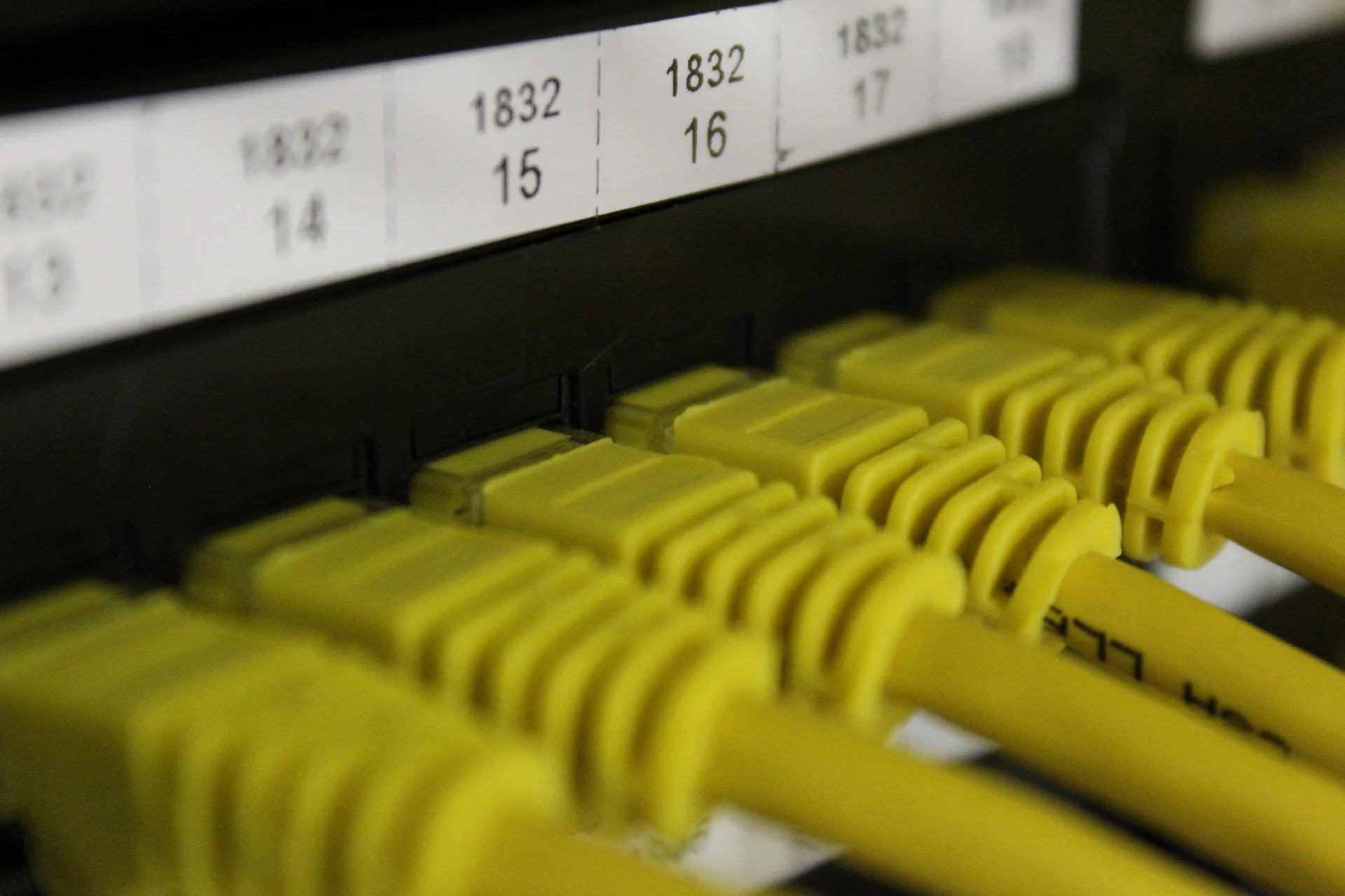 Ethernet cables connected to a network patch panel