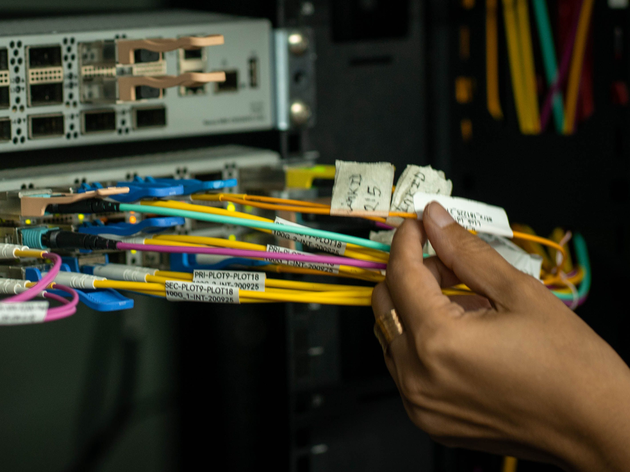 Ethernet cables connected to a network patch panel